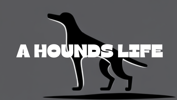 A Hounds Life 